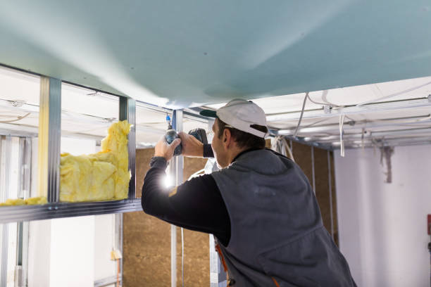 Attic Insulation Near Me in Carrollwood, FL